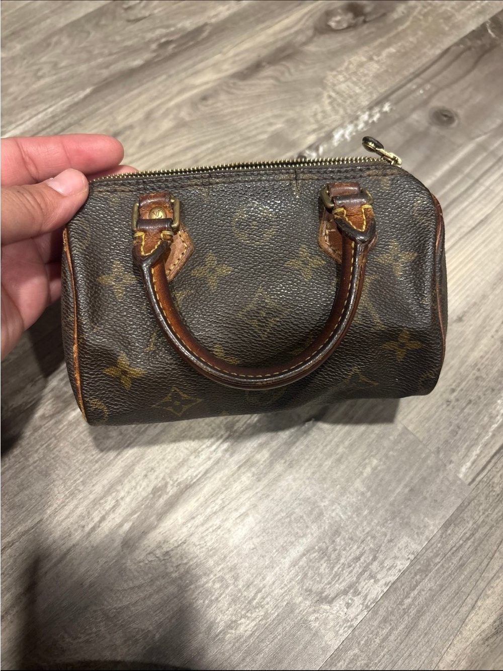 Louis Vuitton Brown Monogram Nano Speedy